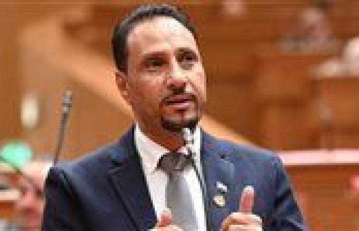 النائب جرجس لاوندي: «الدلتا الجديدة» ملحمة تنموية تجسد رؤية الدولة نحو تحقيق الأمن الغذائي والتنمية المستدامة