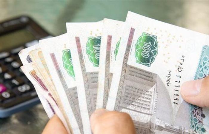 حماية لمَن يستحق.. "الدستور" تكشف مكاسب المواطن من منظومة الدعم النقدى الجديدة