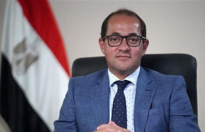 وزير المالية: نتطلع إلى دور أكبر للمؤسسات الدولية فى مساندة الاقتصادات الناشئة