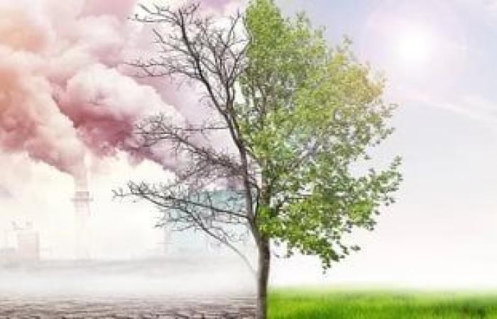 فى يوم البيئة العالمى.. تقرير يكشف عن الاعتداءات على التغطية البيئية
