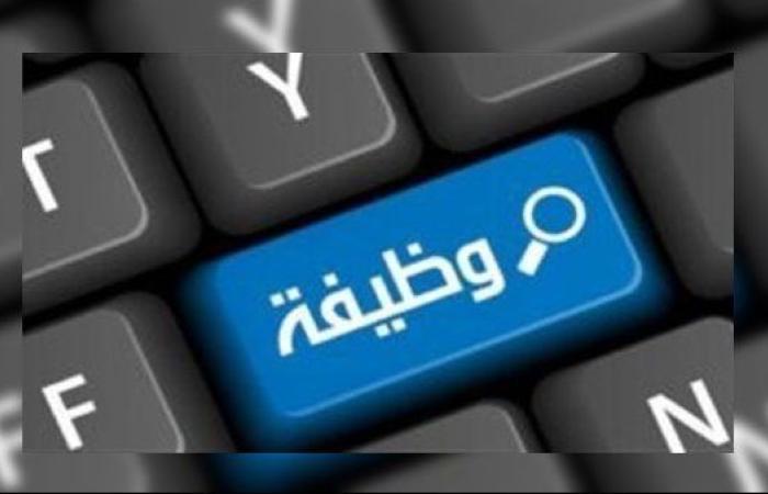 عاجل.. وسط الدلتا للكهرباء تعلن عن وظائف شاغرة.. الشروط وطريقة التقديم