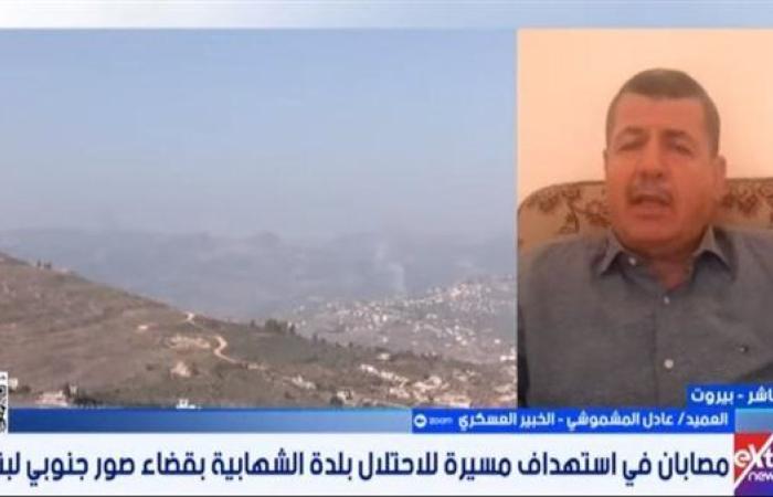تصعيد الاحتلال بالجنوب يهدد مسار التهدئة في لبنان.. خبير يوضح التطورات