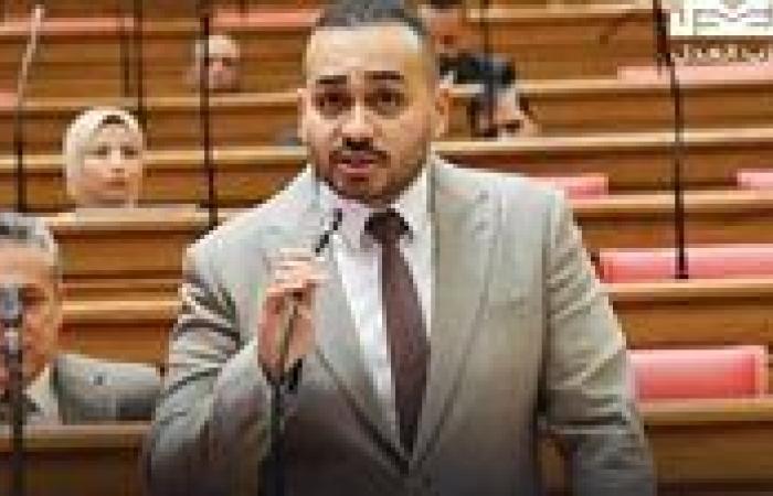 النائب أحمد ناصر يتقدم بطلب إحاطة بشأن جدوى المناطق الحرة الخدمية وأثرها على تنمية صادرات الخدمات