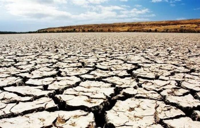 وفاة 49 شخصًا عطشًا بعد تعطل شاحنة في قلب الصحراء الكبرى