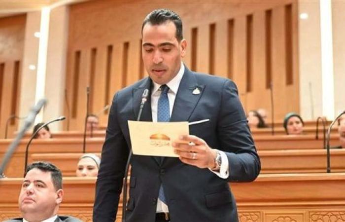 وكيل اتصالات النواب: العلمين الجديدة منصة ذكية لاستضافة الفعاليات الدولية وتعزيز الاقتصاد الرقمي