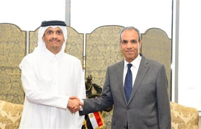 وزير الخارجية يستقبل نظيره القطري.. ويتبادلان الرؤى حول الأوضاع الإقليمية