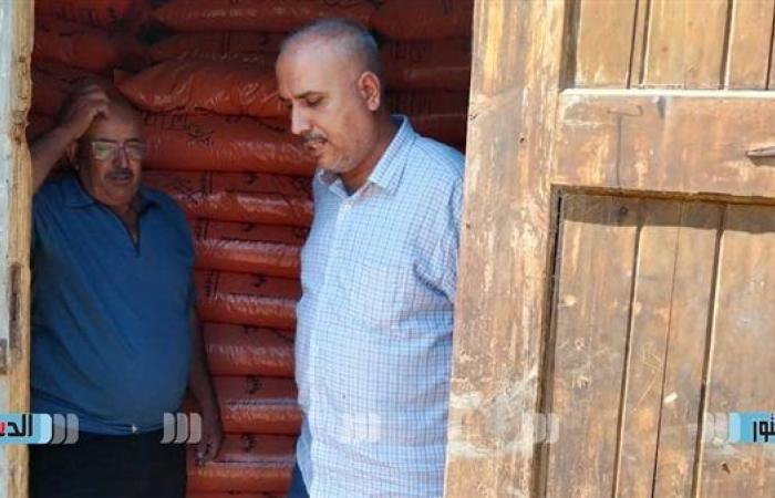 "زراعة كفر الشيخ": نعمل بشكل مكثف على تحسين إنتاجية القطن ودعم المزارعين