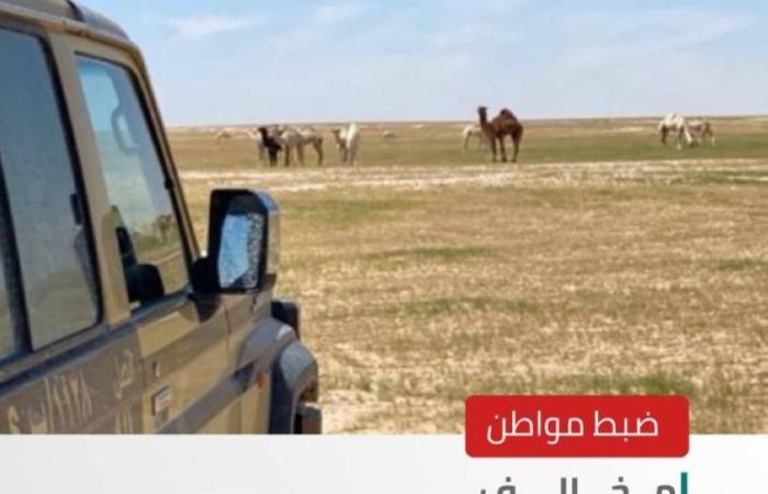 الأمن البيئي يضبط مخالفًا لنظام البيئة في محمية الملك عبدالعزيز الملكية
