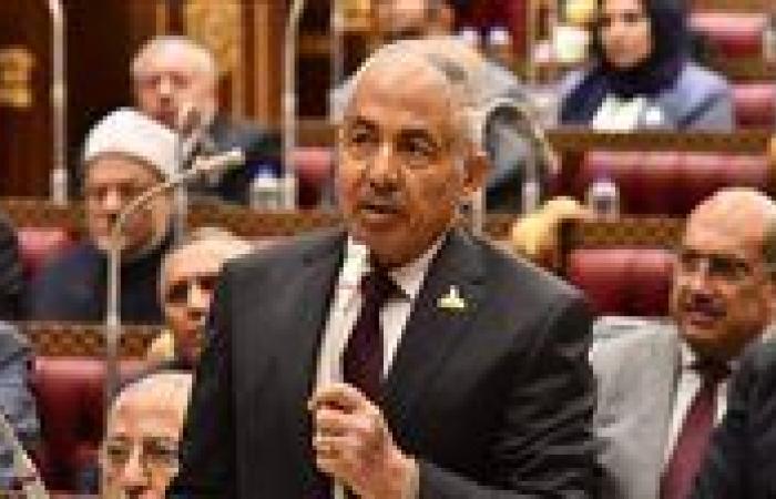 أحمد العوضي: نجاح خطة التنمية مرهون بتمكين القطاع الخاص ورفع مساهمته إلى 59%