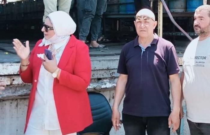 ضبط 110 كجم أسماك مملحة فاسدة في دمياط