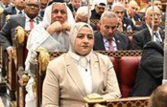 أمين سر طاقة الشيوخ: سداد مستحقات شركاء البترول نقطة تحول تاريخية لدعم الاستثمار وزيادة الإنتاج