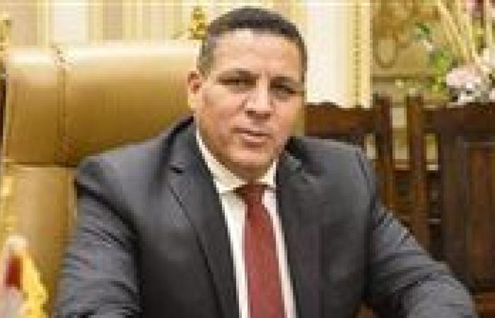 أحمد محسن: مشاركة الرئيس السيسي في قمة G7 تؤكد المكانة الدولية المتقدمة لمصر ودورها المحوري في صياغة التوازنات الإقليمية