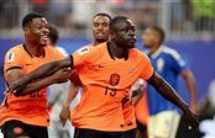 هولندا ضد السويد.. ملخص اهداف ونتيجة مباراة هولندا ضد السويد في كأس العالم بعد مرور 45 دقيقة