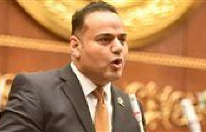النائب الحسيني الليثي: المواطن لا يملك أسهماً في الشركات.. بل يبحث عن حياة كريمة