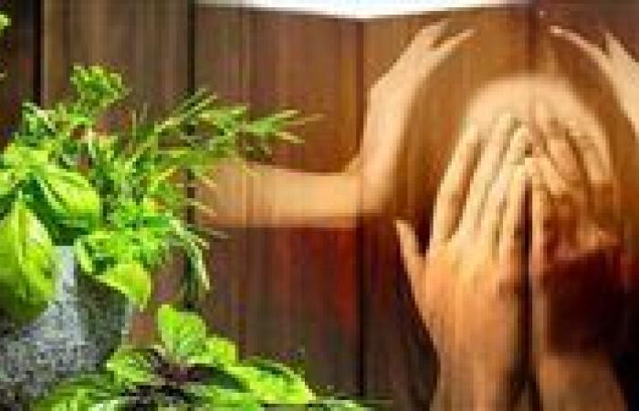 "علاج القلق والاكتئاب".. أسرار لاستعادة سلامك النفسي