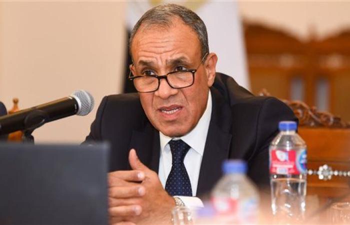 وزير الخارجية: الواقع يفرض إعادة الاعتبار لمفهوم التضامن العربي